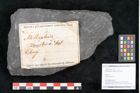 Foto (Objekt + Etikett) von Alethopteris aquilina Brongniart (NHMW-GEO-2024-0188-11259)